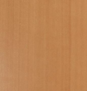 Светлый Анегри Т34